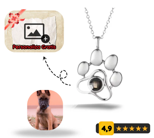 Collar mascota personalizada 🐾
