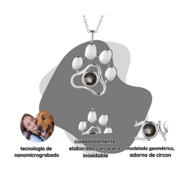 Collar mascota personalizada 🐾